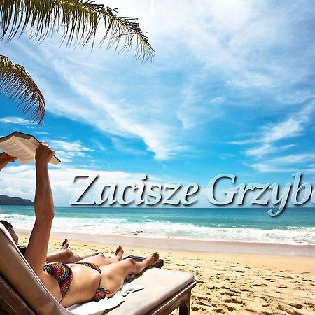 Apartament Zacisze Grzybowo Grzybowo  Zewnętrze zdjęcie